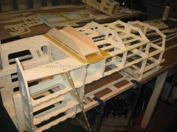 Fuselage construction (61)